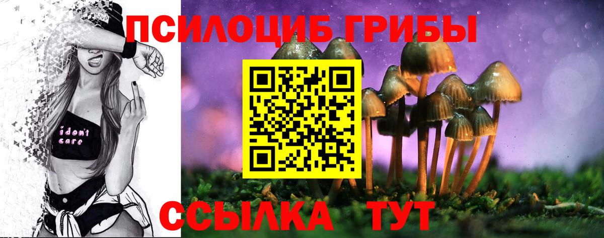 Псилоцибиновые грибы ЛСД Казань