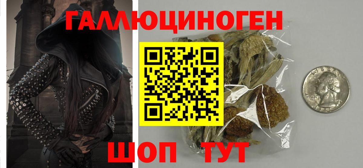 Казань  Галлюциногенные грибы Psilocybine cubensis  где найти   Вход с VPN  Псилоцибиновые грибы прущие грибы 